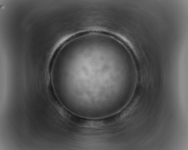 X0000088381271200705221046