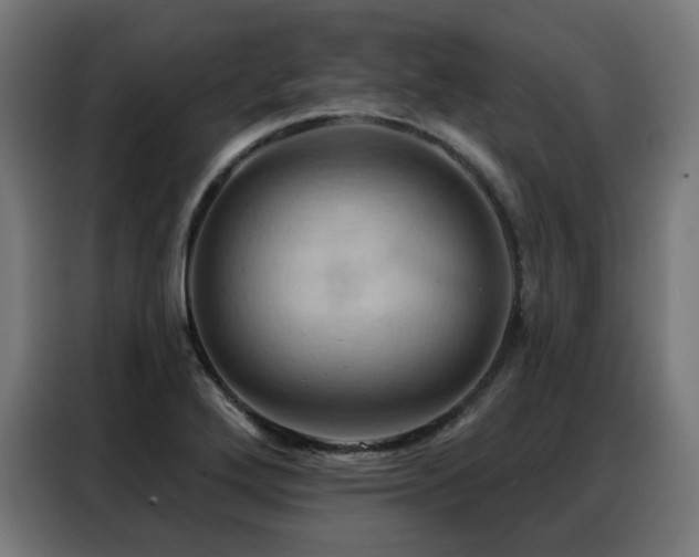 X0000088381272200705221046