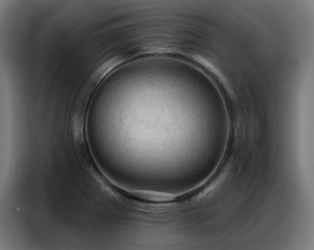 X0000088381273200705221046