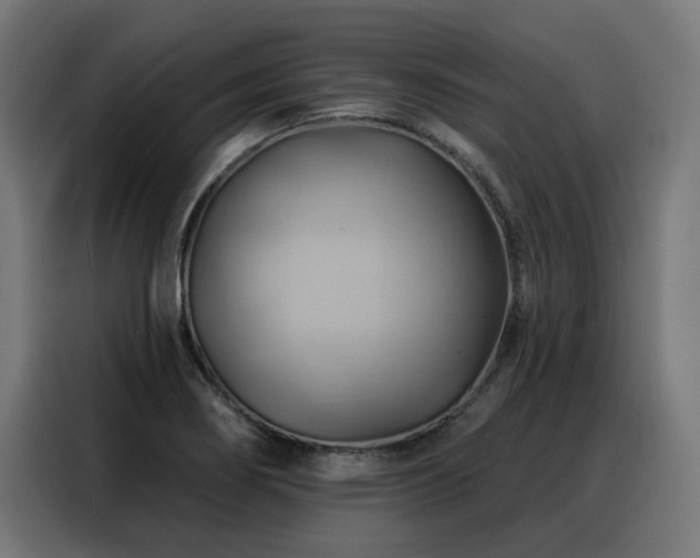 X0000088381274200705221046