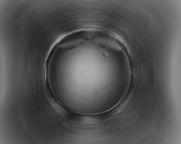 X0000088381275200705221046