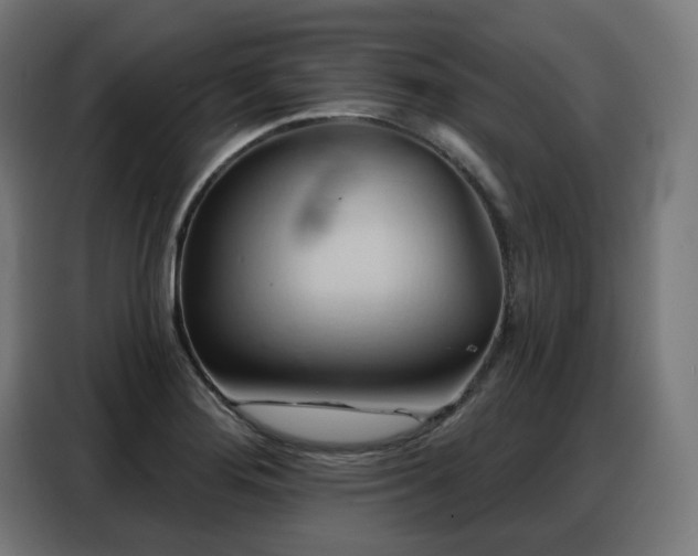 X0000088381276200705221046