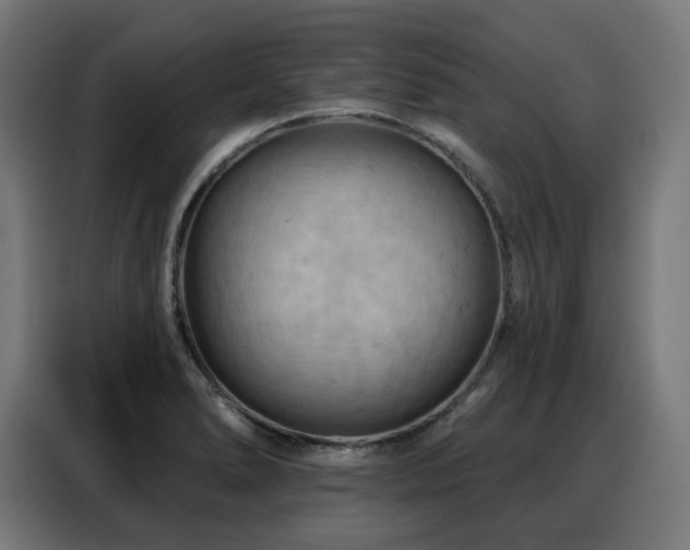 X0000088381278200705221046