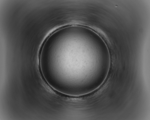 X0000088381280200705221046