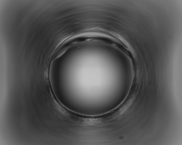 X0000088381281200705221046