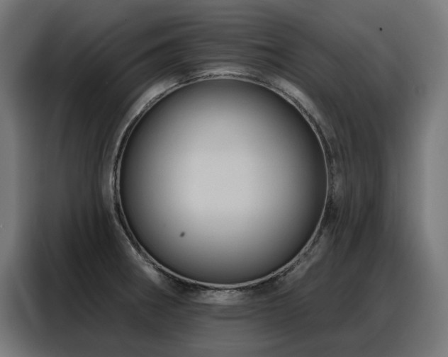 X0000088381282200705221046