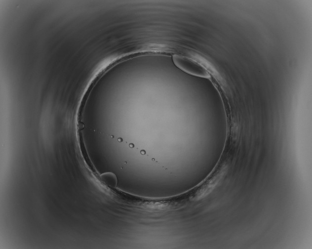 X0000088381283200705221046