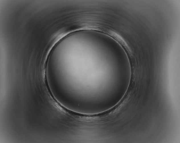 X0000088381284200705221046