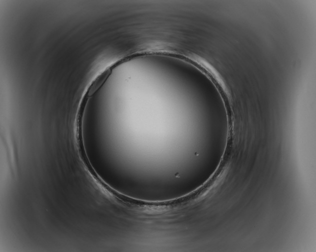 X0000088381285200705221046