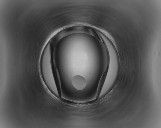 X0000088381287200705221046