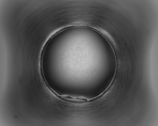 X0000088381288200705221046