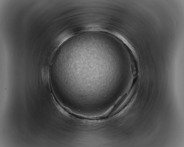 X0000088381289200705221046