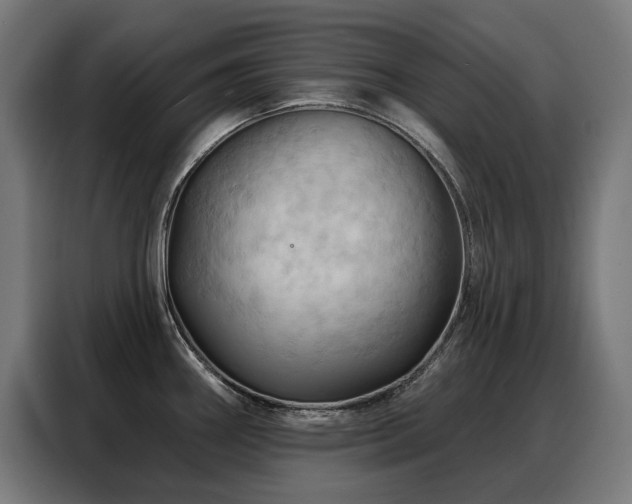 X0000088381290200705221046
