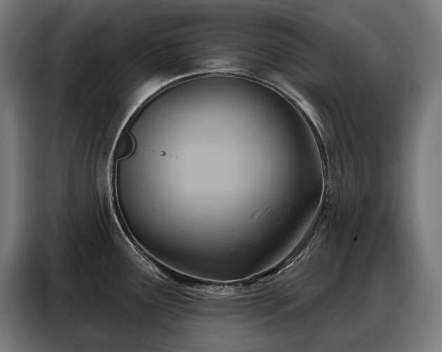 X0000088381291200705221046