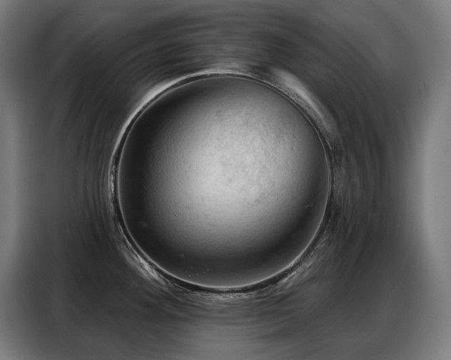 X0000088381292200705221046