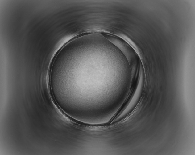 X0000088381293200705221046