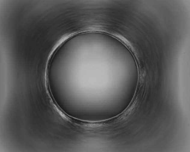 X0000088381294200705221046