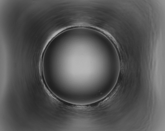 X0000088381295200705221046