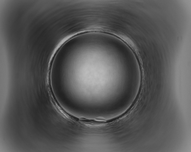 X0000088381296200705221046