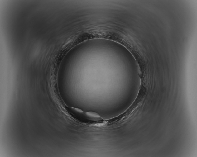 X0000088381297200705221045