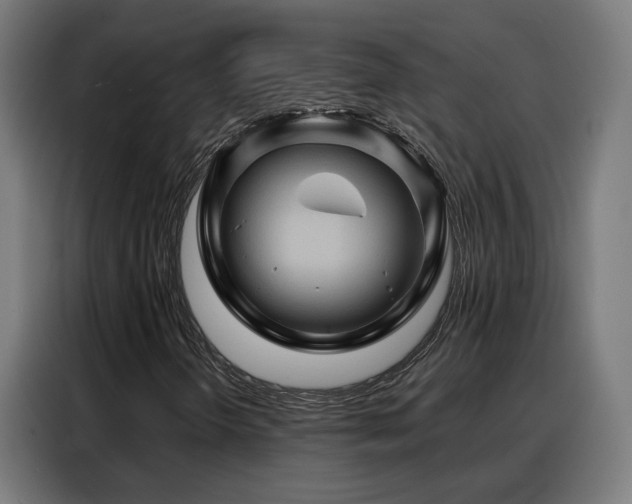 X0000088381298200705221045