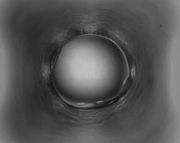X0000088381299200705221045