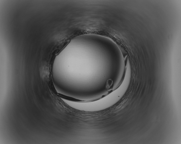 X0000088381300200705221045