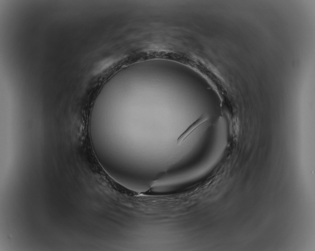 X0000088381303200705221045