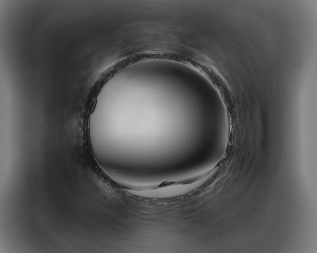 X0000088381304200705221045