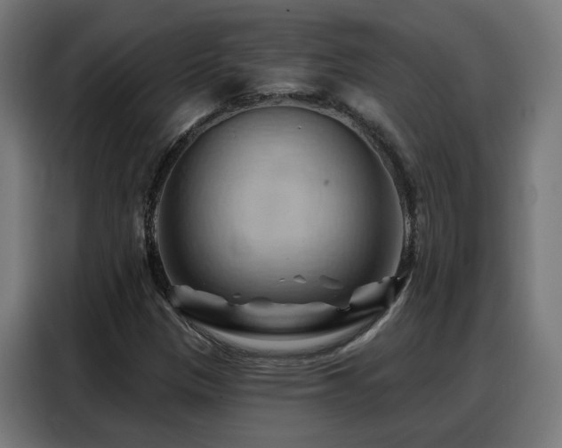 X0000088381305200705221045