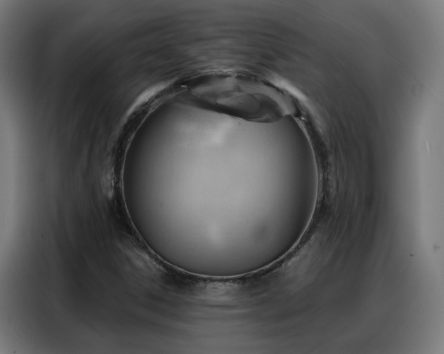 X0000088381306200705221045