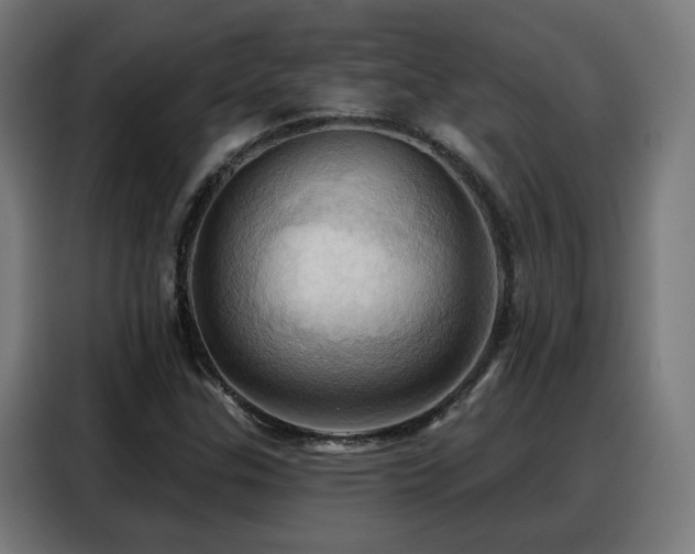 X0000088381307200705221045
