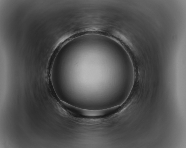 X0000088381308200705221045