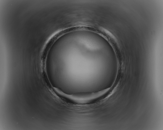 X0000088381310200705221045
