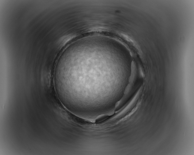 X0000088381313200705221045