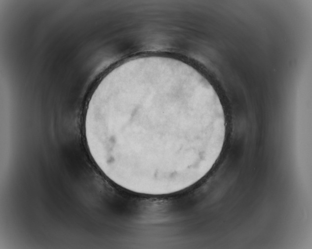 X0000088381314200705221045