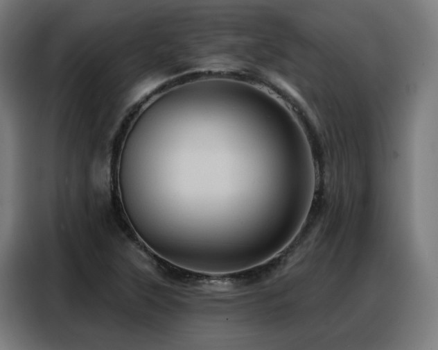 X0000088381315200705221045