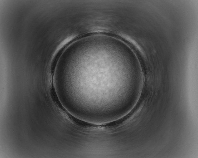 X0000088381317200705221045
