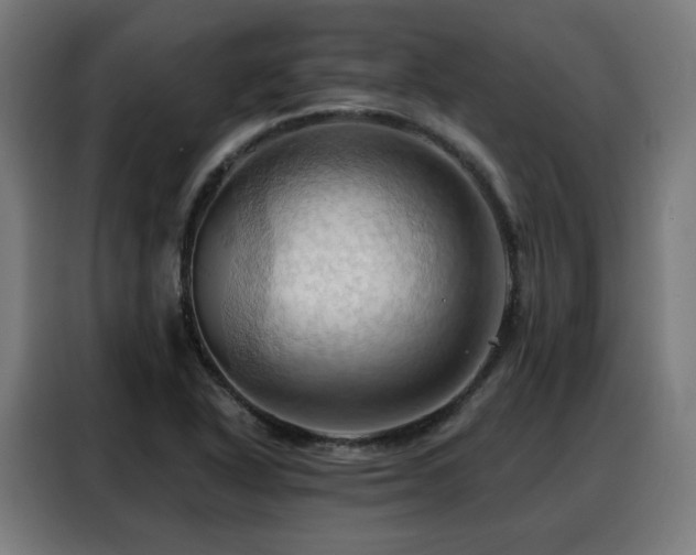 X0000088381318200705221045