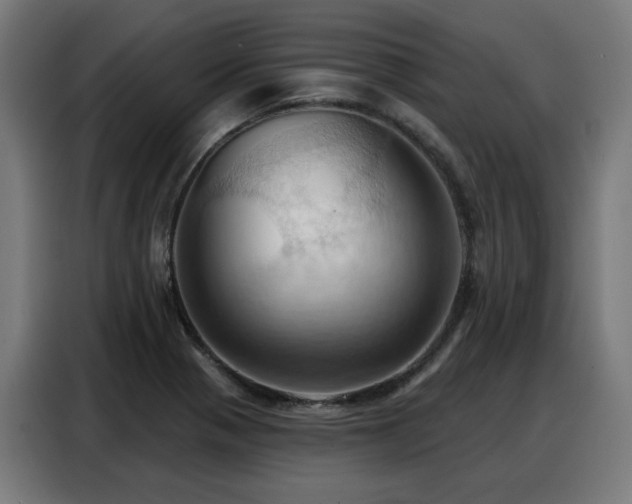 X0000088381321200705221045
