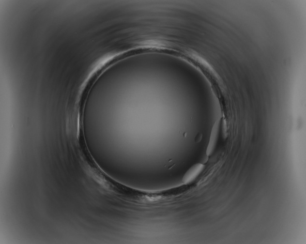 X0000088381323200705221045