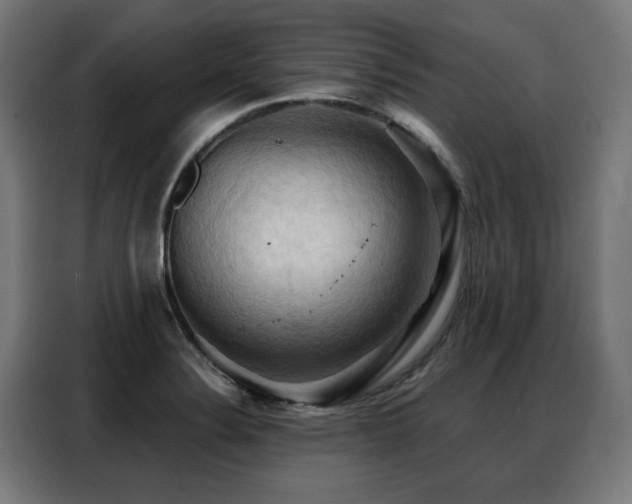 X0000088381324200705221045