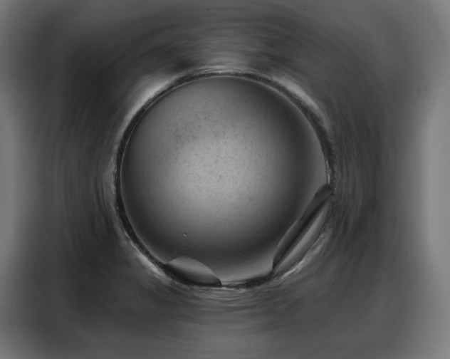 X0000088381325200705221045