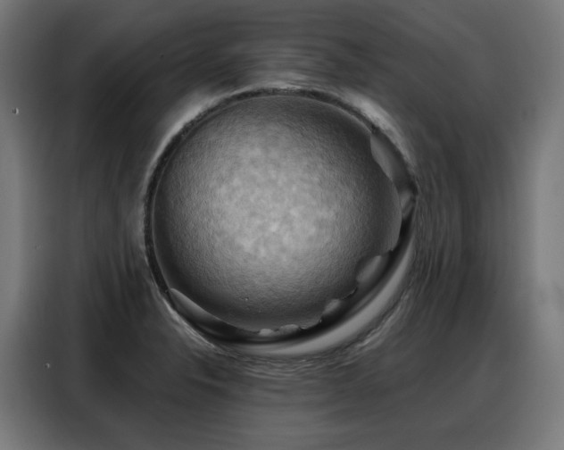 X0000088381326200705221045