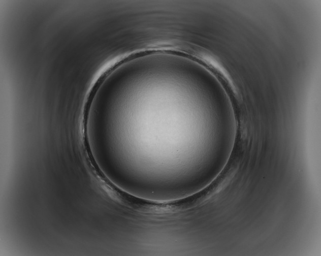 X0000088381328200705221045