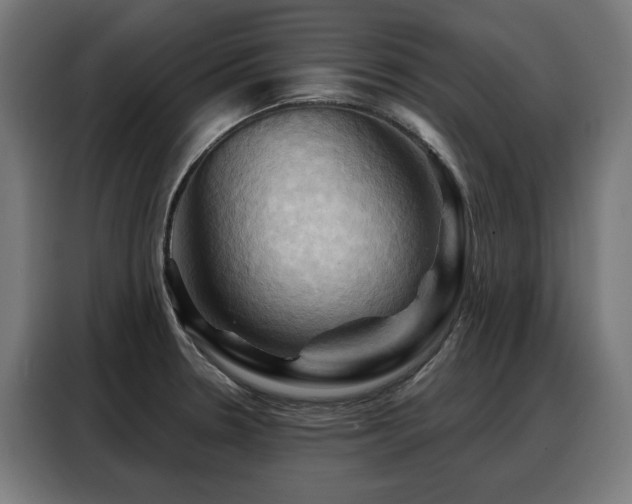 X0000088381330200705221046