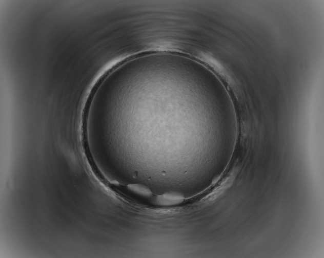X0000088381331200705221046