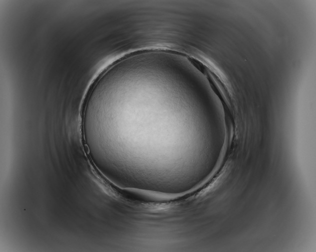 X0000088381332200705221046