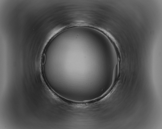 X0000088381333200705221046
