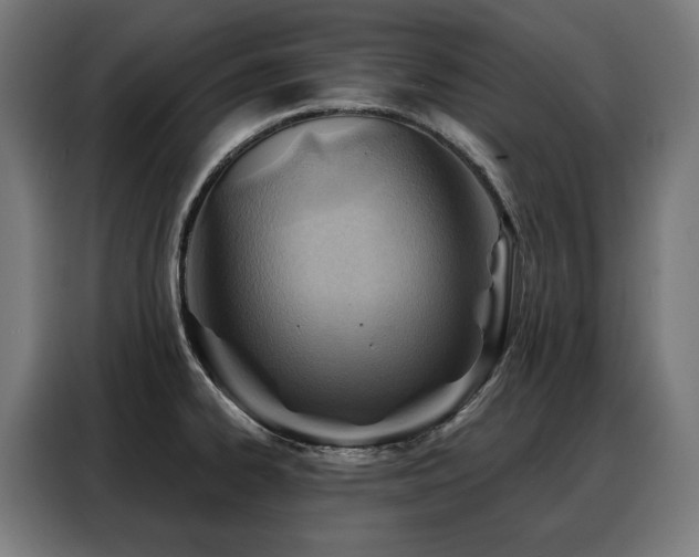 X0000088381334200705221046